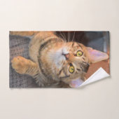 かわいいベンガルの子猫 バスタオルセット (ハンドタオル)