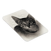 かわいいベンガルの子猫 マグネット (右側)