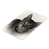 かわいいベンガルの子猫 マグネット (左側)