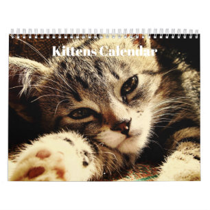 かわいいベンガル+子猫 2027 カレンダー