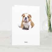 かわいいベージュの丸犬ペット写真メリークリスマス シーズンカード (裏面)