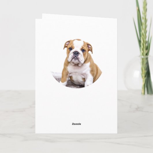 かわいいベージュの丸犬ペット写真メリークリスマス シーズンカード (裏面)