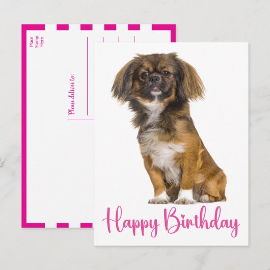 かわいいペキニーズ 誕生日 犬 バースデー ポストカード (正面/裏面)
