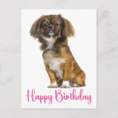 かわいいペキニーズ 誕生日 犬 バースデー ポストカード (正面)