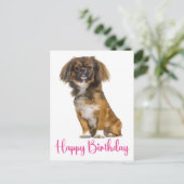 かわいいペキニーズ 誕生日 犬 バースデー ポストカード (スタンド正面)