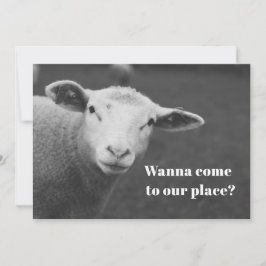 かわいいペサフの招待状 招待状