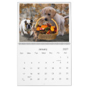 かわいいペットのおすすめ写真 カレンダー (1月 2027)