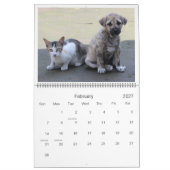 かわいいペットのおすすめ写真 カレンダー (2月 2027)