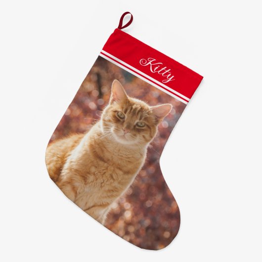 かわいいペットのクリスマスキャット写真小さい ラージクリスマスストッキング (正面 (吊り時))