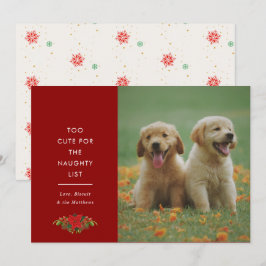 かわいいペットのクリスマス写真カード ミニマルデザイン シーズンカード