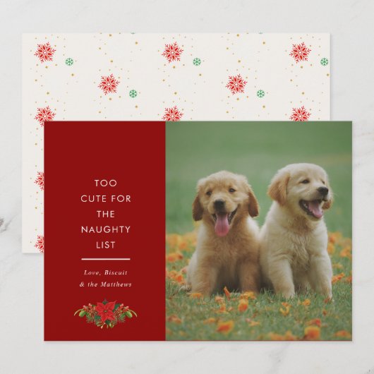 かわいいペットのクリスマス写真カード ミニマルデザイン シーズンカード (正面/裏面)