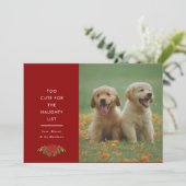 かわいいペットのクリスマス写真カード ミニマルデザイン シーズンカード (スタンド正面)