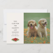 かわいいペットのクリスマス写真カード ミニマルデザイン シーズンカード (正面)