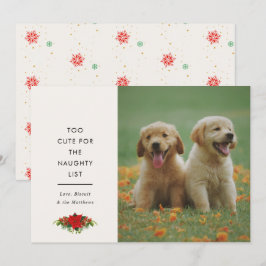 かわいいペットのクリスマス写真カード ミニマルデザイン シーズンカード