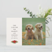 かわいいペットのクリスマス写真カード ミニマルデザイン シーズンカード (スタンド正面)