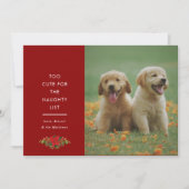 かわいいペットのクリスマス写真 シーズンカード (正面)