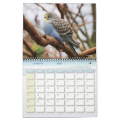 かわいいペットのブジーの鸚鵡の写真2025鳥 カレンダー (1月 2027)