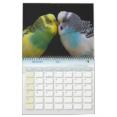 かわいいペットのブジーの鸚鵡の写真2025鳥 カレンダー (2月 2027)