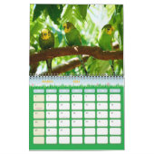 かわいいペットのブジーの鸚鵡の写真2025鳥 カレンダー (3月 2026)