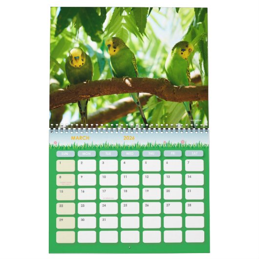 かわいいペットのブジーの鸚鵡の写真2025鳥 カレンダー (3月 2026)
