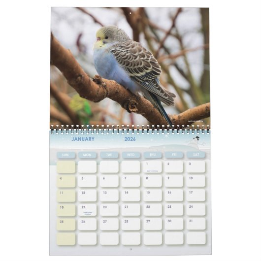 かわいいペットのブジーの鸚鵡の写真2025鳥 カレンダー (1月 2026)
