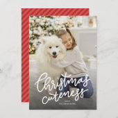 かわいいペットのホリデーカード シーズンカード (正面/裏面)