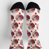 かわいいペットの写真とサンタ帽子ホワイトクリスマス ソックス (上部)