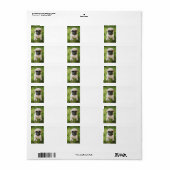 かわいいペットの写真のアドカスタムレス ラベル (フルシート)