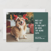 かわいいペットの写真のクリスマスカード シーズンカード (正面)