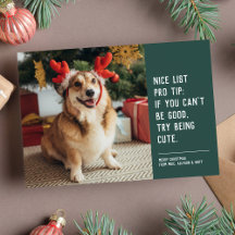 かわいいペットの写真のクリスマスカード