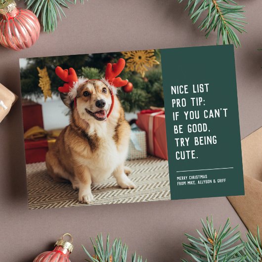 かわいいペットの写真のクリスマスカード シーズンカード