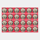 かわいいペットの写真パターン雪の結晶メリークリスマス ラッピングペーパーシート (正面)