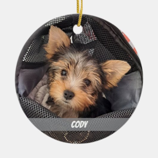 かわいいペットの写真犬と猫ペットの名前 セラミックオーナメント (正面)