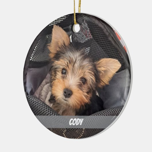 かわいいペットの写真犬と猫ペットの名前 セラミックオーナメント (左)