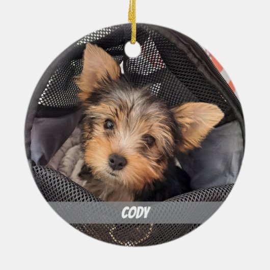 かわいいペットの写真犬と猫ペットの名前 セラミックオーナメント (裏面)