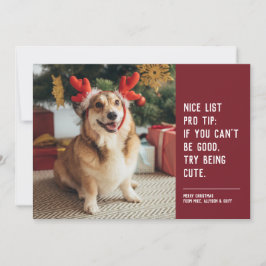かわいいペットの写真 赤いクリスマス シーズンカード