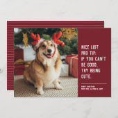 かわいいペットの写真 赤いクリスマス シーズンカード (正面/裏面)