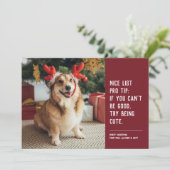 かわいいペットの写真 赤いクリスマス シーズンカード (スタンド正面)