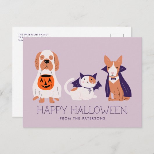 かわいいペットの衣装ハッピーハローウィン シーズンポストカード (正面/裏面)