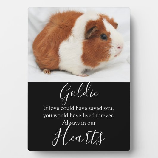 かわいいペットの記念碑 フォトプラーク (正面)