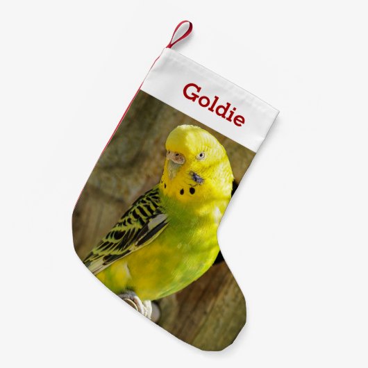 かわいいペットの鳥好き写真と名前パーソナライズされた スモールクリスマスストッキング (正面 (吊り時))
