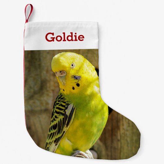 かわいいペットの鳥好き写真と名前パーソナライズされた スモールクリスマスストッキング (正面)