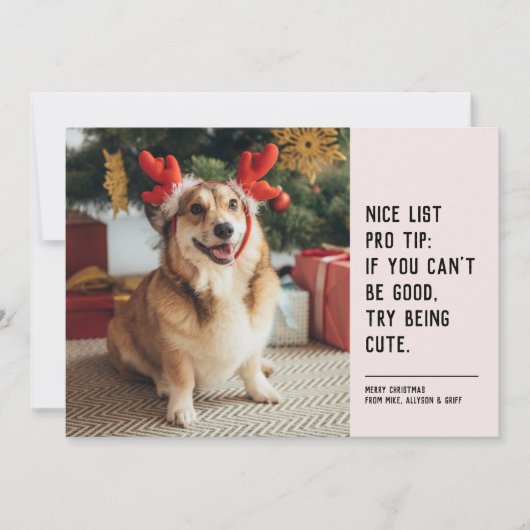 かわいいペットの黒とピンクのクリスマス写真 シーズンカード (正面)