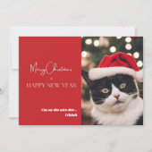 かわいいペットキャットホリデーカード シーズンカード (正面)