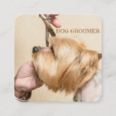 かわいいペットグルーミング気にサービス写真 スクエア名刺 (正面)