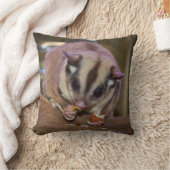 かわいいペットシュガー食べグライダー クッション (ブランケット)