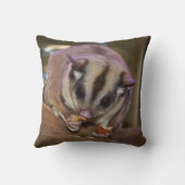 かわいいペットシュガー食べグライダー クッション (裏面)