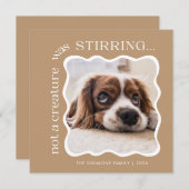 かわいいペットフォトクリスマス シーズンカード (正面/裏面)