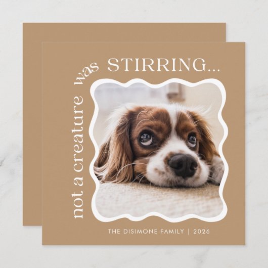 かわいいペットフォトクリスマス シーズンカード (正面/裏面)