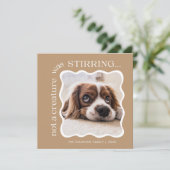 かわいいペットフォトクリスマス シーズンカード (スタンド正面)